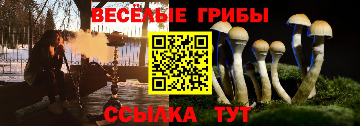 Галлюциногенные грибы Psilocybine cubensis  Вход с VPN  Арзамас 
