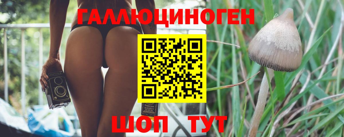 Псилоцибиновые грибы GOLDEN TEACHER Арзамас