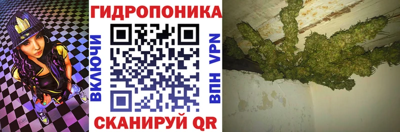 Шишки марихуана OG Kush  Арзамас 